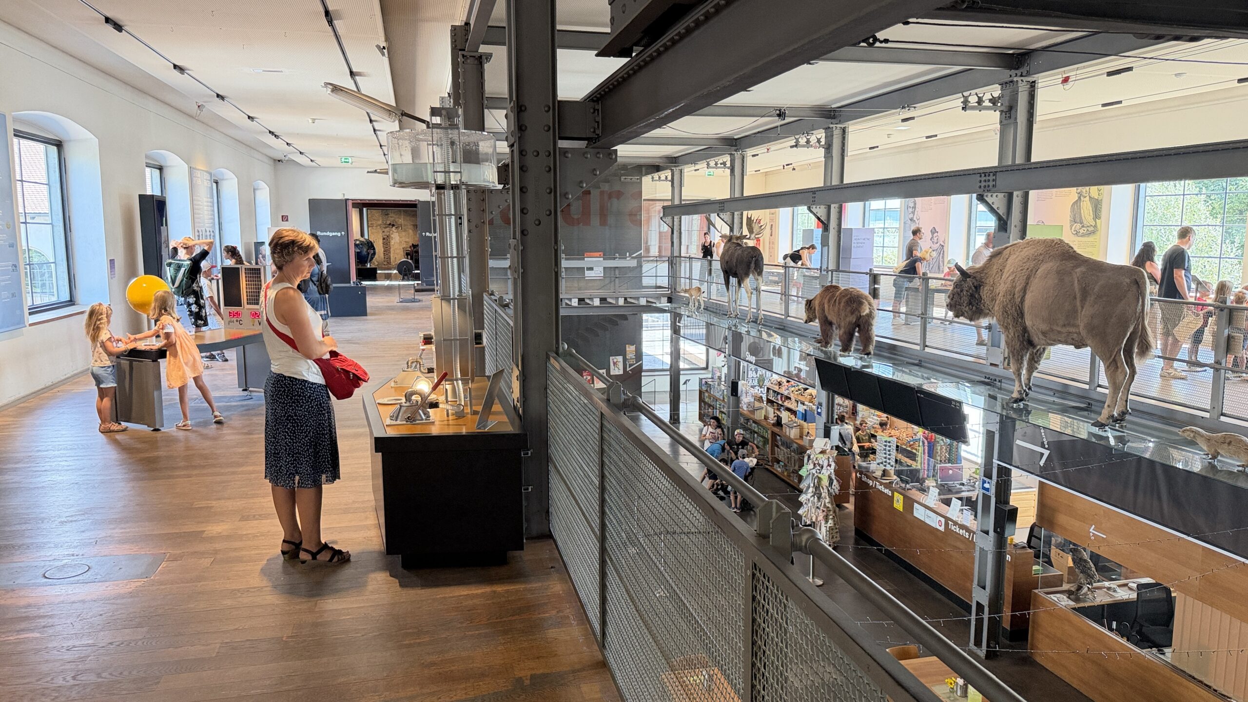 Die schönen Ausstellungsräume der Inatura in Dornbirn. Fotos: Bandi Koeck/Gsi.News