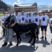 Ein echter Esel und einer der heiratet: Elias Marxer und seine Poltertruppe. Foto: Bandi Koeck