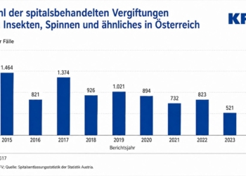 Auswertung KFV; Quelle: Todesursachenstatistik der Statistik Austria