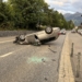 Selbstunfall in Schaan. Foto: Landespolizei