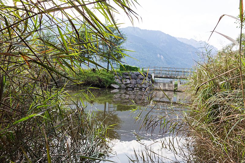 Egelsee © Stadtmarketing und Tourismus Feldkirch GmbH