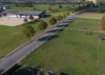 Die Appenzellerstraße wird von November bis Mai im Bereich Merowingerstraße-Autobahnauffahrt gesperrt. Es entsteht ein neuer Stauraumkanal mit Rückhaltebecken. © Marktgemeinde Rankweil/Bernd Oswald