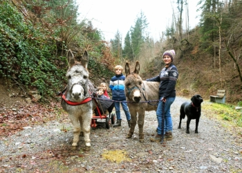 Julia Marte-Schwald unterwegs mit ihren Liebsten: Kindern und Tieren. Fotos: Privat